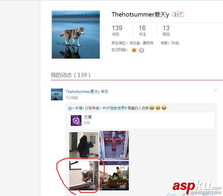 網易云音樂中的gif動圖怎么下載保存? 網易云音樂,gif,動圖