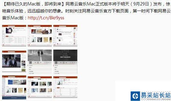 網易云音樂mac版下載地址 網易云音樂mac版官方下載1