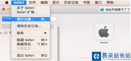 safari地址欄無法搜索怎么辦 safari地址欄搜索不了解決方法1