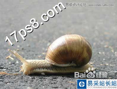 Photoshop設計可愛風格的蝸牛城堡教程