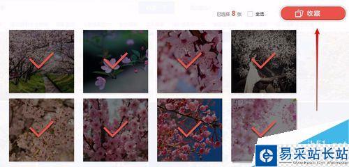 百度網盤怎么批量保存網頁圖片？ 百度網盤批量保存圖片教程