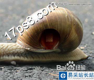 Photoshop設計可愛風格的蝸牛城堡教程