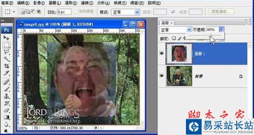 Photoshop移花接木教程 惡搞人面合成