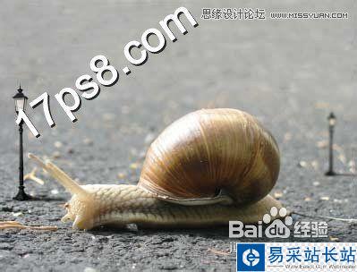 Photoshop設計可愛風格的蝸牛城堡教程