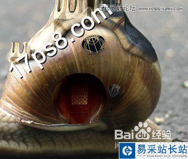 Photoshop設計可愛風格的蝸牛城堡教程