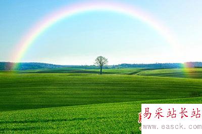 直到彩虹的下半部消失