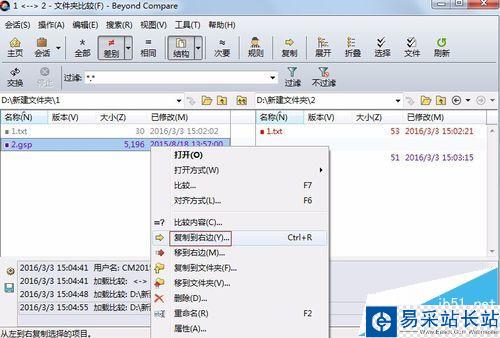 Beyond Compare軟件使用技巧