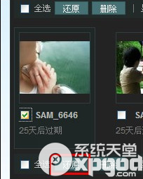 qq空間照片刪除了怎么恢復(fù)?qq空間相冊(cè)照片恢復(fù)方法