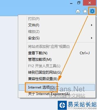 打開(kāi)“Internet 選項(xiàng)”