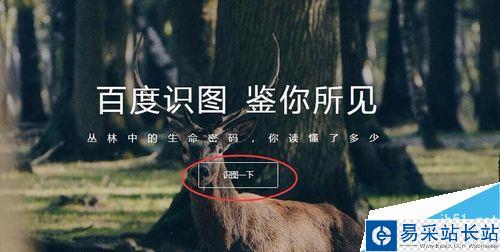 百度怎么搜圖識別？百度識圖功能教程