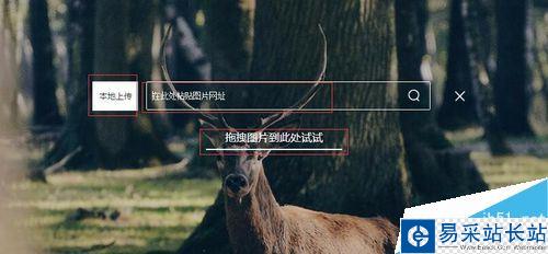 百度怎么搜圖識別？百度識圖功能教程