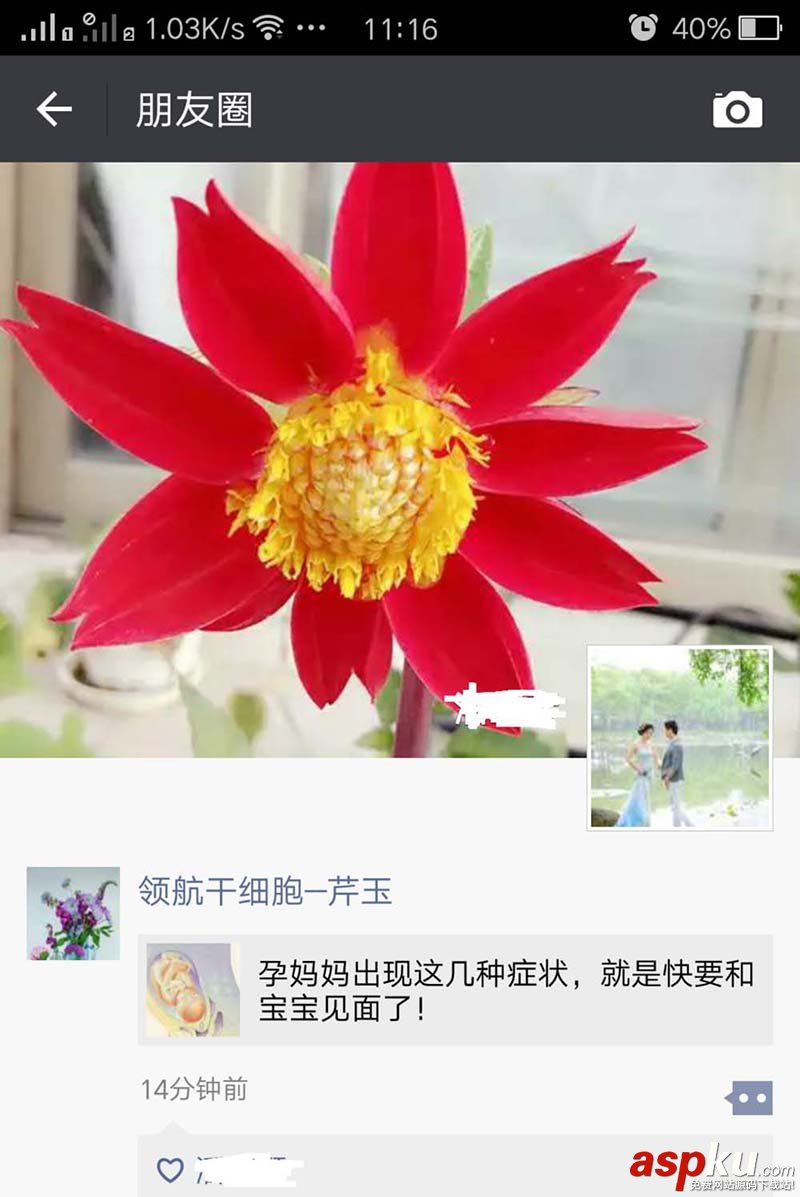 微信,朋友圈,點贊