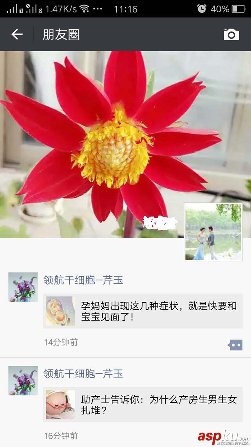 微信,朋友圈,點贊