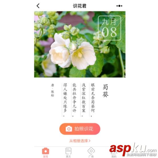 微信,小程序,識花君