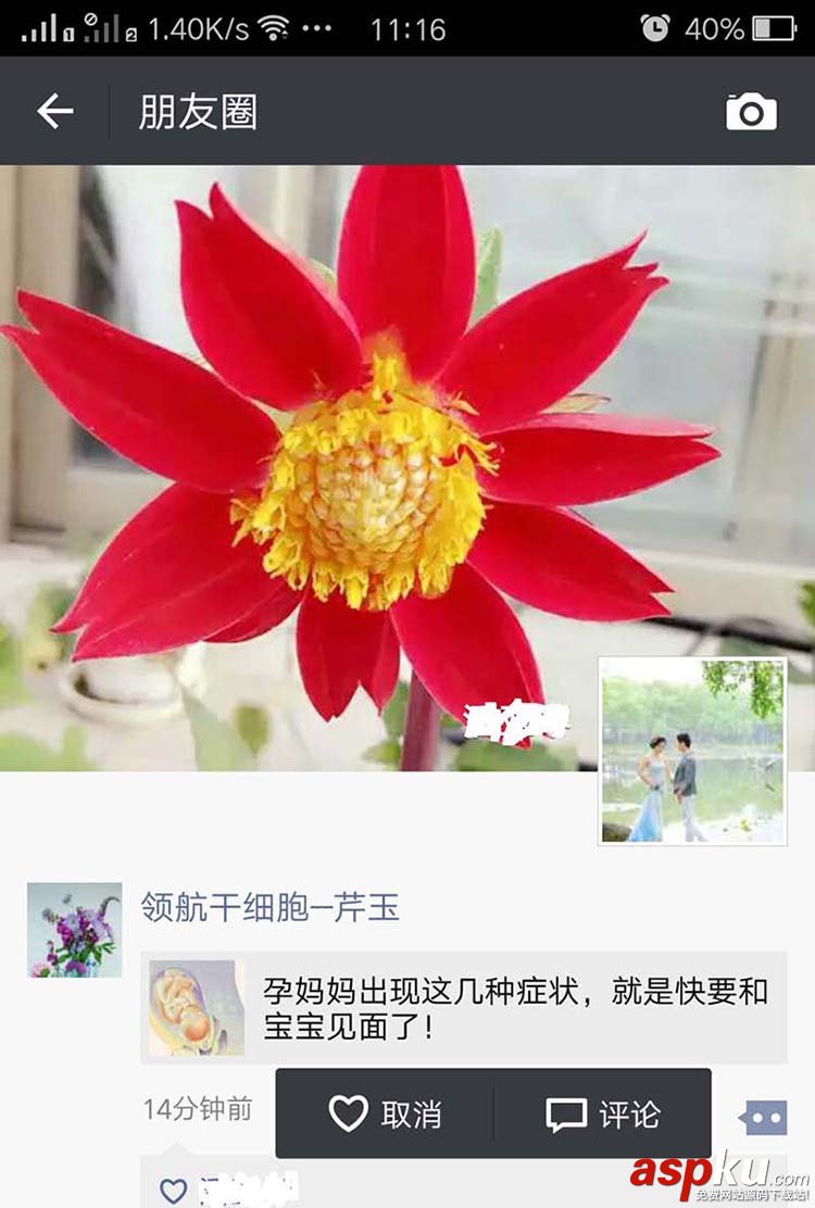 微信,朋友圈,點贊