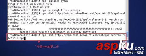 CentOS 6.5下yum安裝 MySQL-5.5全過程圖文教程 CentOS,MySQL安裝,yum