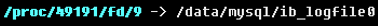 MySQL,服務器,IO,優化方案