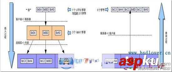 MySQL亂碼問題終極指南 MySQL,亂碼