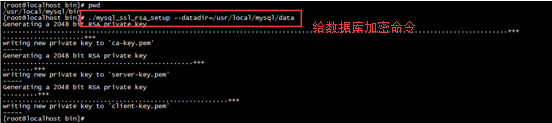 Linux centos7環(huán)境下MySQL安裝教程 Linux,centos7,MySQL