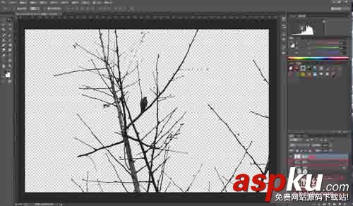 PS利用通道簡單扣樹枝 通道,樹枝