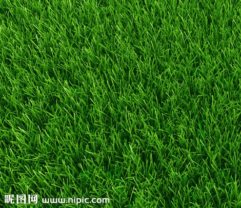 PS的去水印方法(四):仿制圖章工具