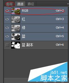 PS利用通道簡單快速地摳出—棵大樹 PS,通道,摳圖