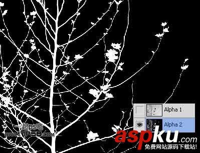 Photoshop摳圖教程:通道和計算命令摳圖實例 photoshop,通道,摳圖