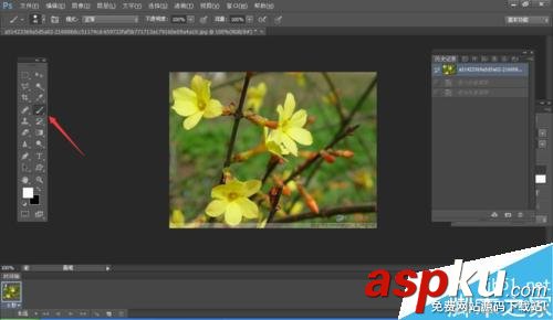 PS,摳圖,快速蒙版