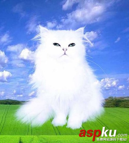 教你輕松玩轉(zhuǎn)PS摳圖 兩種常用的摳圖方法 ps摳圖,常用的摳圖