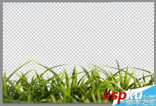 用PS色彩范圍摳凌亂的小草 PS,色彩范圍,摳圖