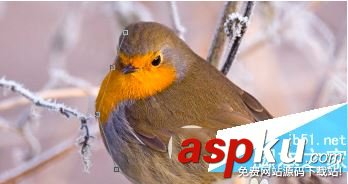 ps利用快速選擇工具和鉛筆工具摳圖換背景教程 ps,快速選擇工具,鉛筆工具,摳圖