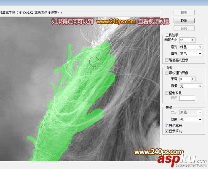 PS利用抽出濾鏡摳出極細的發絲 濾鏡,發絲