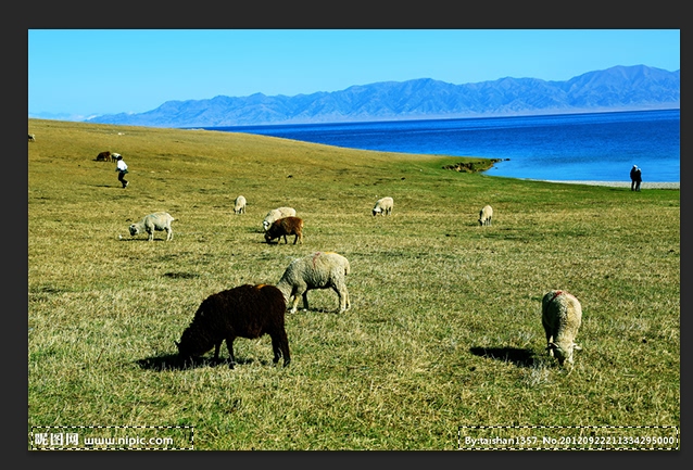 PS的去水印方法(三):內(nèi)容識(shí)別