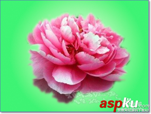 PS怎么用通道摳圖?ps通道摳圖方法圖解 PS怎么用通道摳圖,ps通道摳圖方法