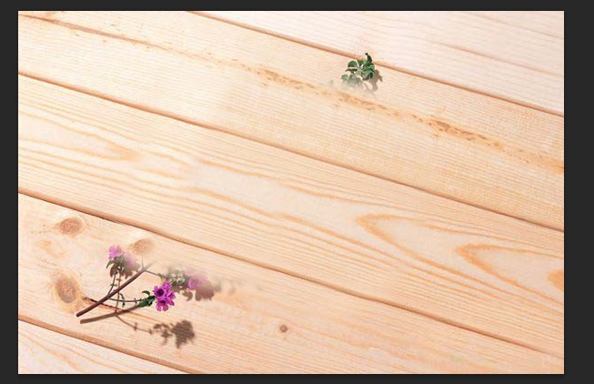 PS的去水印方法(五):移植修圖