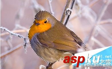 ps利用快速選擇工具和鉛筆工具摳圖換背景教程 ps,快速選擇工具,鉛筆工具,摳圖