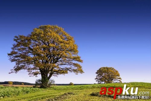 小白必學!PS背景橡皮擦摳圖技巧詳解 PS,背景橡皮擦摳圖