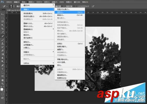 PS利用通道簡單快速地摳出—棵大樹 PS,通道,摳圖