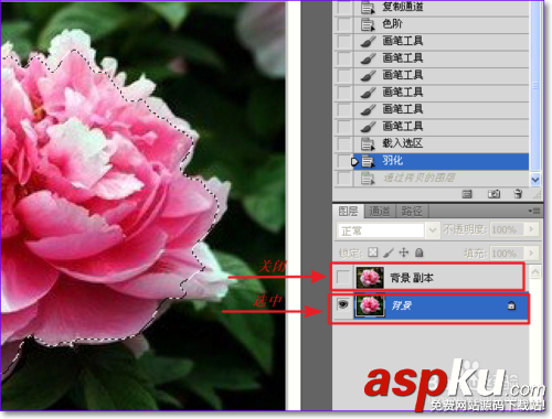PS怎么用通道摳圖?ps通道摳圖方法圖解 PS怎么用通道摳圖,ps通道摳圖方法