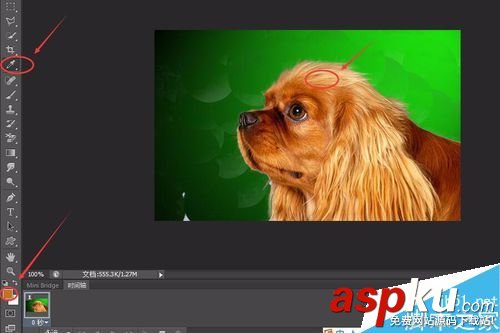 PS6如何完美的摳小動物的毛發 摳圖,動物,毛發,PS6