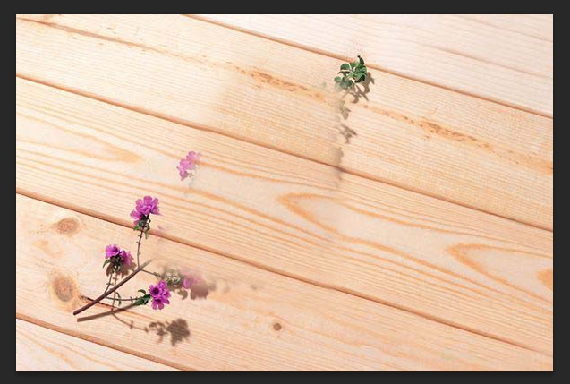 PS的去水印方法(五):移植修圖