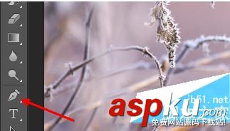 ps利用快速選擇工具和鉛筆工具摳圖換背景教程 ps,快速選擇工具,鉛筆工具,摳圖