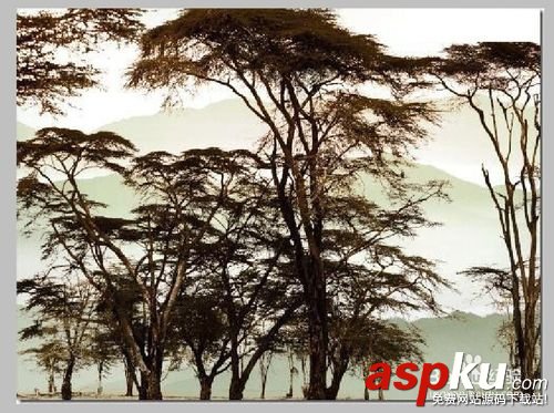 教你怎么用PS反相學(xué)快速摳圖 PS,反相學(xué),摳圖