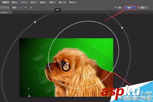 PS6如何完美的摳小動物的毛發 摳圖,動物,毛發,PS6