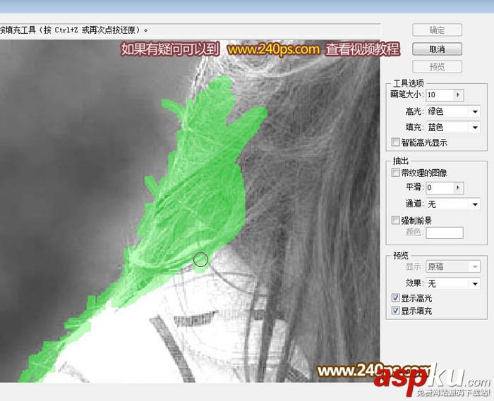 PS利用抽出濾鏡摳出極細的發絲 濾鏡,發絲