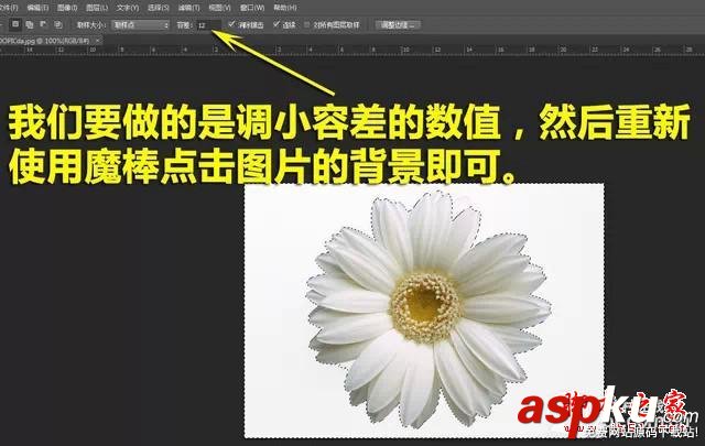 PS新手必看 教你五種快速的摳圖技巧 PS,PS摳圖,PS技巧