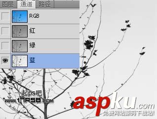 Photoshop摳圖教程:通道和計算命令摳圖實例 photoshop,通道,摳圖