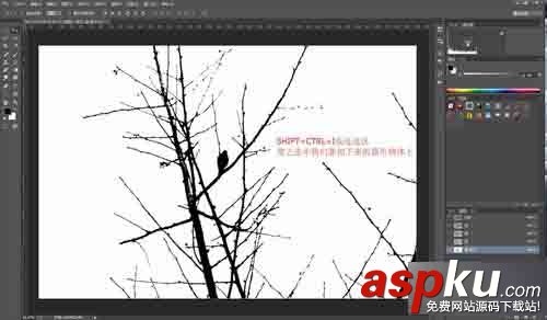 PS利用通道簡單扣樹枝 通道,樹枝