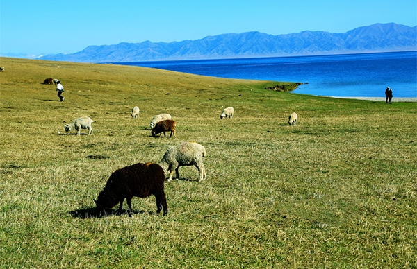 PS的去水印方法(三):內(nèi)容識(shí)別