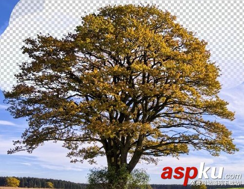 小白必學!PS背景橡皮擦摳圖技巧詳解 PS,背景橡皮擦摳圖